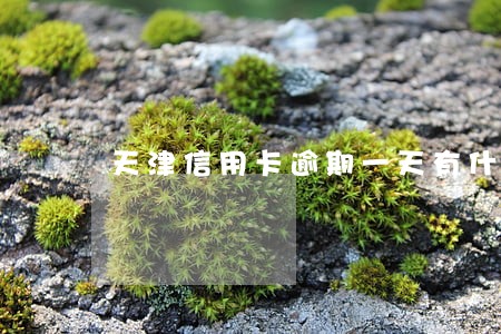 天津信用卡逾期一天有什么影响 天津信用卡逾期一天有什么影响