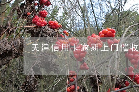 天津信用卡逾期上门催收 天津信用卡逾期上门催收