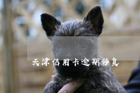 天津信用卡逾期修复 天津信用卡逾期修复