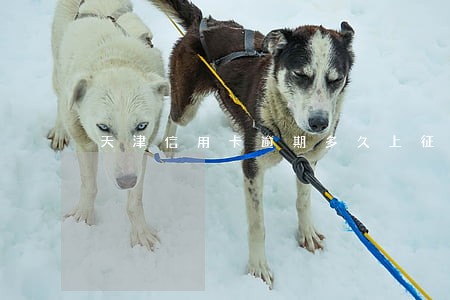 天津信用卡逾期多久上征信 天津信用卡逾期多久上征信