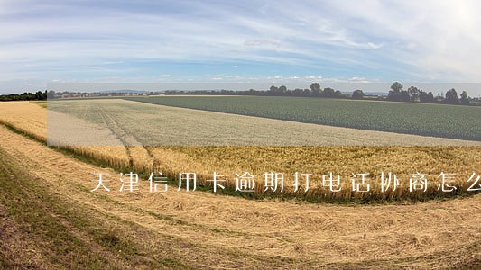 天津信用卡逾期打电话协商怎么办 天津信用卡逾期打电话协商怎么办