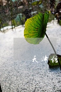 天津信用卡银行逾期 天津信用卡银行逾期