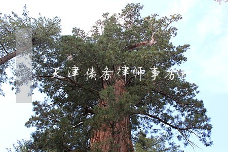 天津债务律师事务所 天津债务律师事务所