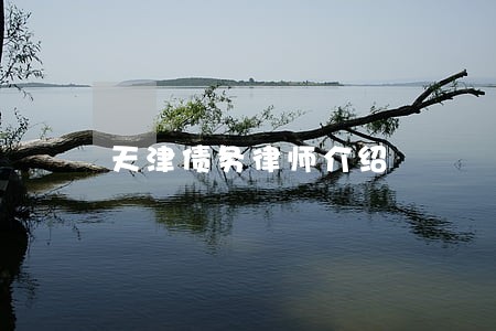 天津债务律师介绍