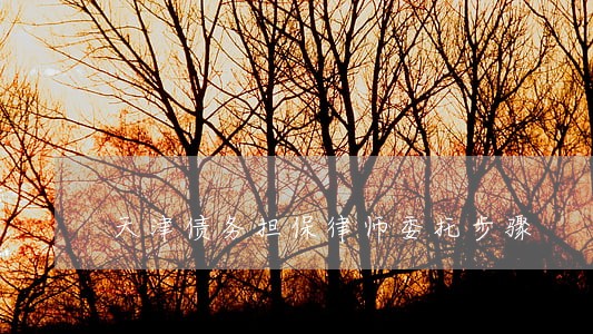 天津债务担保律师委托步骤 天津债务担保律师委托步骤