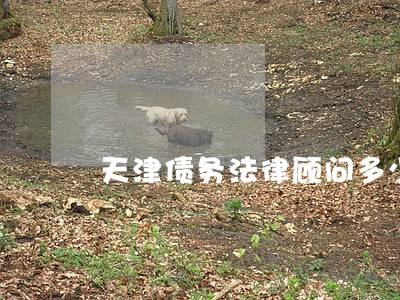 天津债务法律顾问多少钱 天津债务法律顾问多少钱