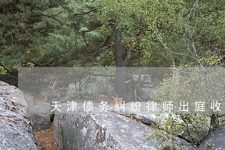 天津债务纠纷律师出庭收费如何 天津债务纠纷律师出庭收费如何