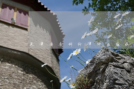 天津债务纠纷律师出庭收费纠纷 天津债务纠纷律师出庭收费纠纷
