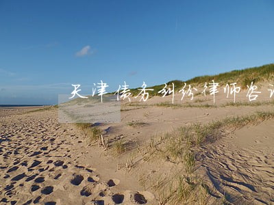 天津债务纠纷律师咨询 天津债务纠纷律师咨询