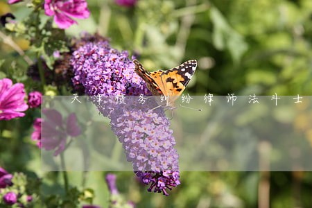 天津债务纠纷律师法斗士 天津债务纠纷律师法斗士