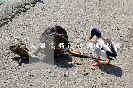 天津债务追讨律师收费 天津债务追讨律师收费