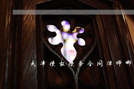 天津债权债务合同律师哪个好