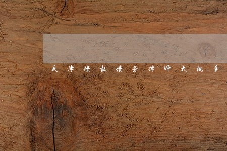 天津债权债务律师大概多少钱 天津债权债务律师大概多少钱