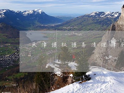 天津债权债务清理律师费用 天津债权债务清理律师费用