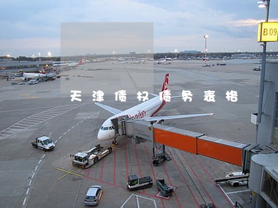 天津债权债务表格 天津债权债务表格