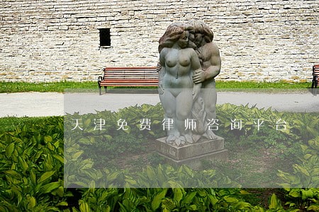 天津免费律师咨询平台