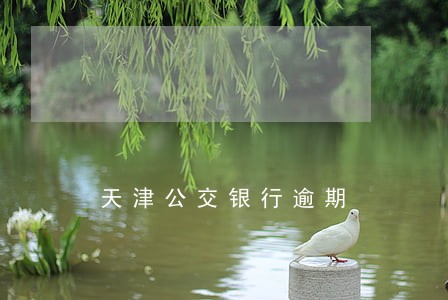 天津公交银行逾期 天津公交银行逾期