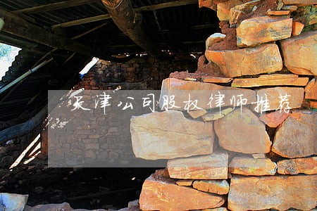 天津公司股权律师推荐
