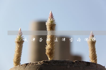 天津劳动法律咨询律师 天津劳动法律咨询律师