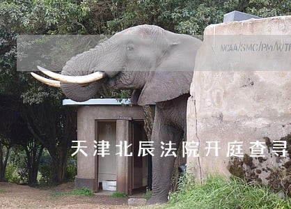 天津北辰法院开庭查寻
