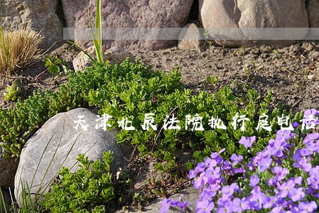 天津北辰法院执行庭电话 天津北辰法院执行庭电话