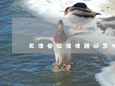 天津单位法律顾问怎么样 天津单位法律顾问怎么样