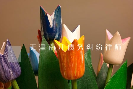 天津南开债务纠纷律师
