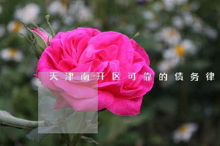 天津南开区可靠的债务律师哪个好 天津南开区可靠的债务律师哪个好