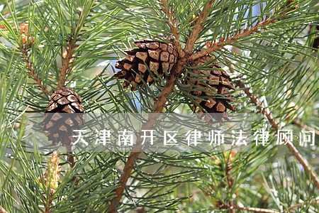 天津南开区律师法律顾问 天津南开区律师法律顾问