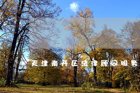 天津南开区法律顾问服务 天津南开区法律顾问服务