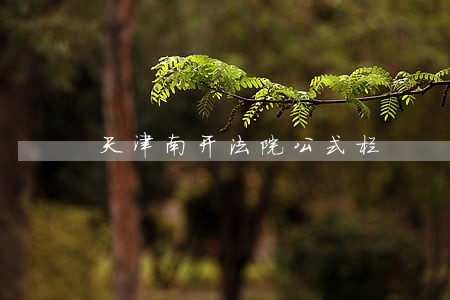 天津南开法院公式栏
