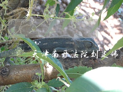 天津南开法院刘建伟 天津南开法院刘建伟