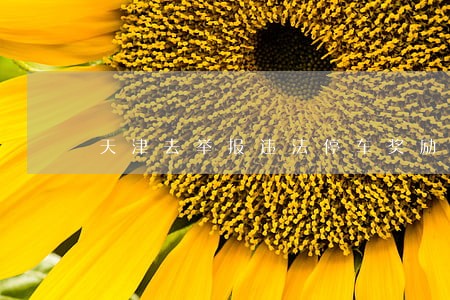 天津去举报违法停车奖励 天津去举报违法停车奖励