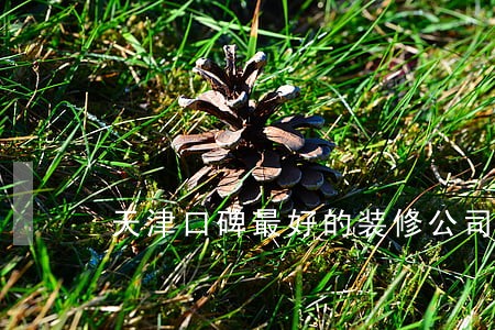 天津口碑最好的装修公司 天津口碑最好的装修公司