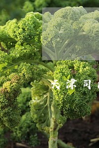 天津司法所转警 天津司法所转警