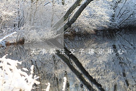 天津司法父子建定中心 天津司法父子建定中心