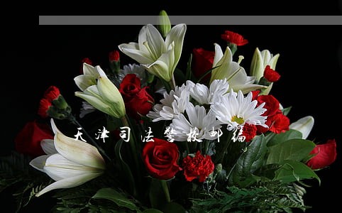 天津司法警校邮编