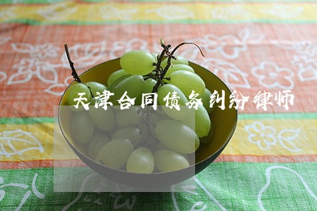 天津合同债务纠纷律师 天津合同债务纠纷律师