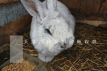 天津合同纠纷律师收费 天津合同纠纷律师收费