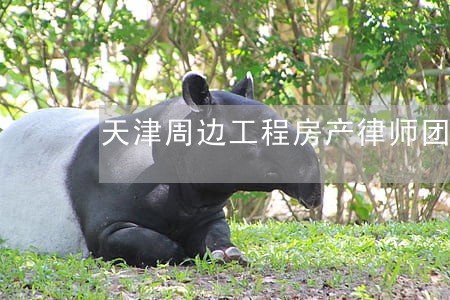 天津周边工程房产律师团队 天津周边工程房产律师团队