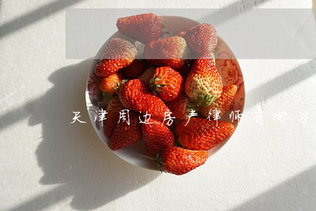 天津周边房产律师有哪些 天津周边房产律师有哪些