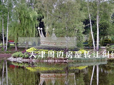 天津周边房屋转让纠纷律师 天津周边房屋转让纠纷律师