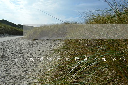 天津和平区债务方面律师事务所 天津和平区债务方面律师事务所