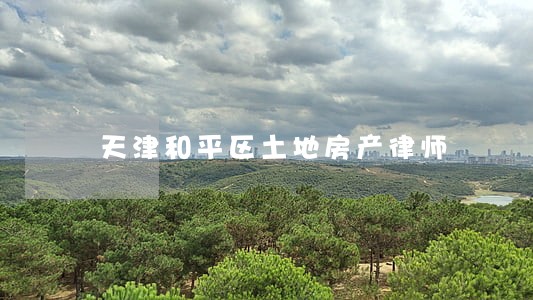 天津和平区土地房产律师 天津和平区土地房产律师