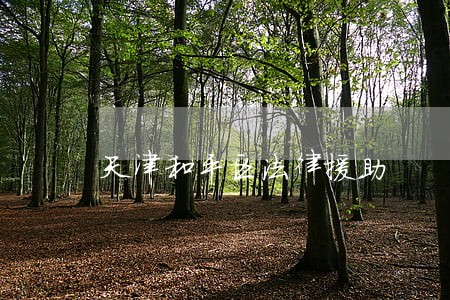 天津和平区法律援助 天津和平区法律援助