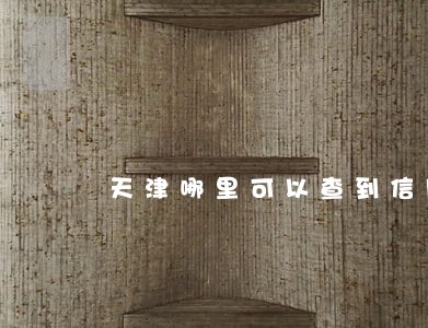 天津哪里可以查到信用卡逾期 天津哪里可以查到信用卡逾期