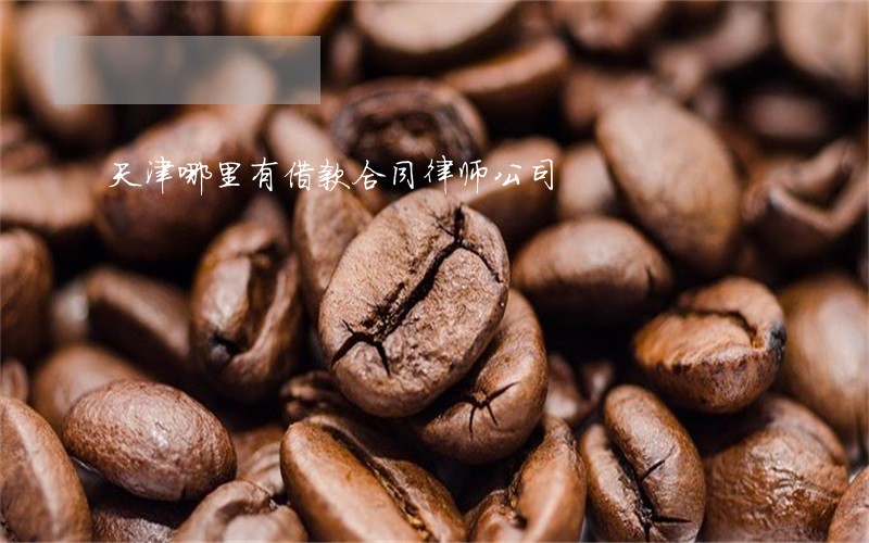 天津哪里有借款合同律师公司 天津哪里有借款合同律师公司