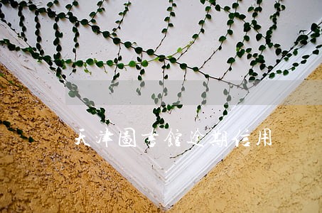 天津图书馆逾期信用