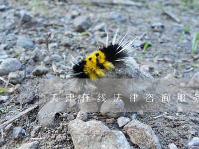 天津在线法律咨询服务 天津在线法律咨询服务