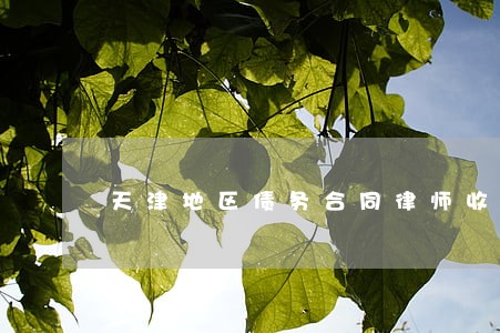 天津地区债务合同律师收费标准 天津地区债务合同律师收费标准